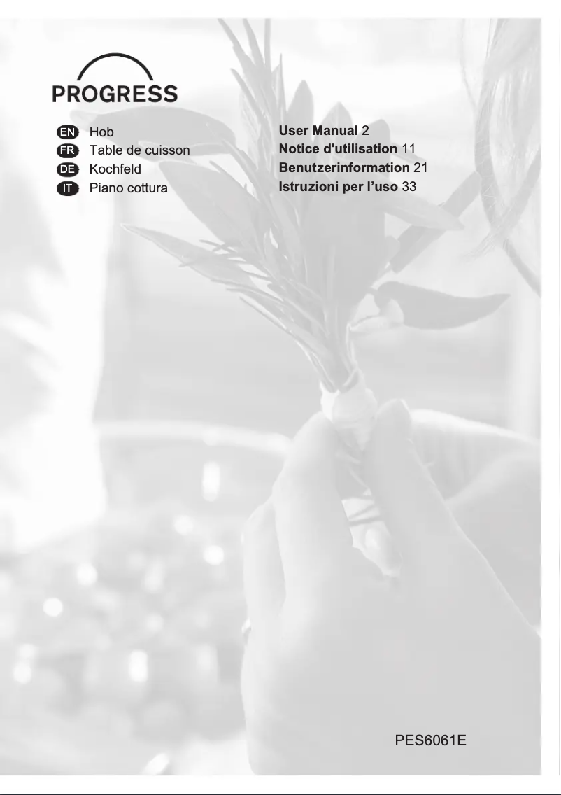 Page n°1 - Manuel utilisateur Progress PES6061E