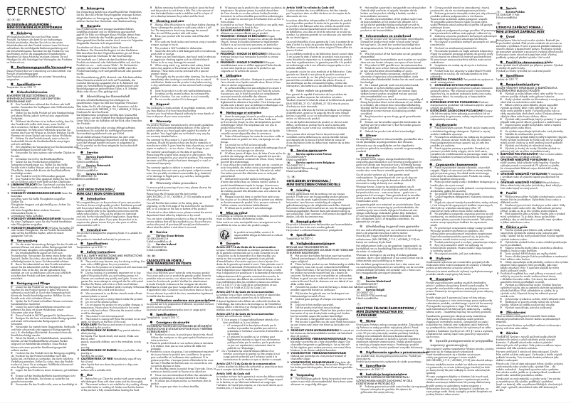 Page 1 de la notice Manuel utilisateur Ernesto HG09174A