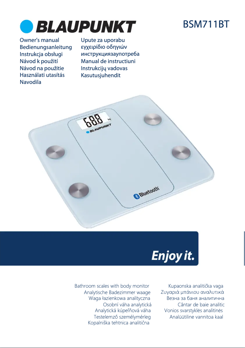 Page 1 de la notice Manuel utilisateur Blaupunkt BSM711BT