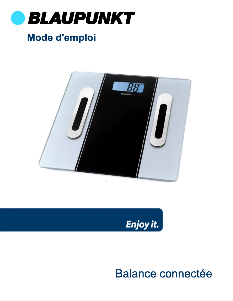 Page 1 de la notice Manuel utilisateur Blaupunkt BLP1540