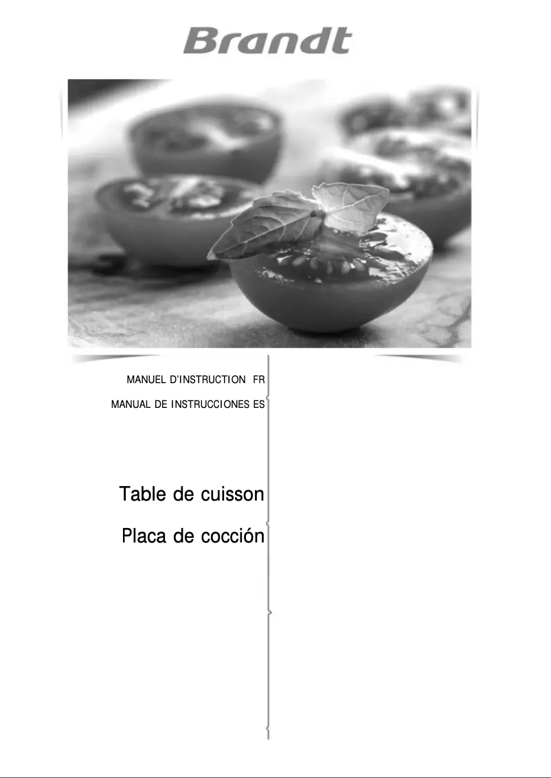 Page 1 de la notice Manuel utilisateur Brandt BPI6464B