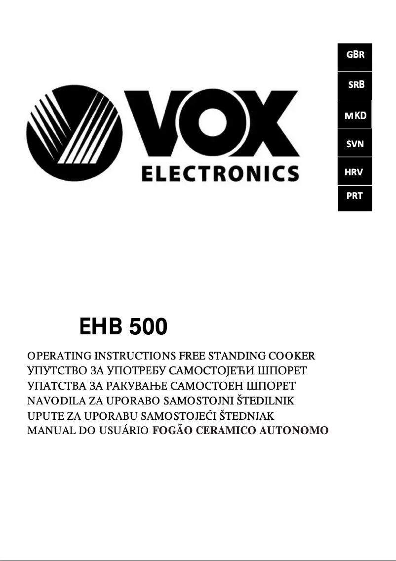 Page 1 de la notice Manuel utilisateur VOX EHB500