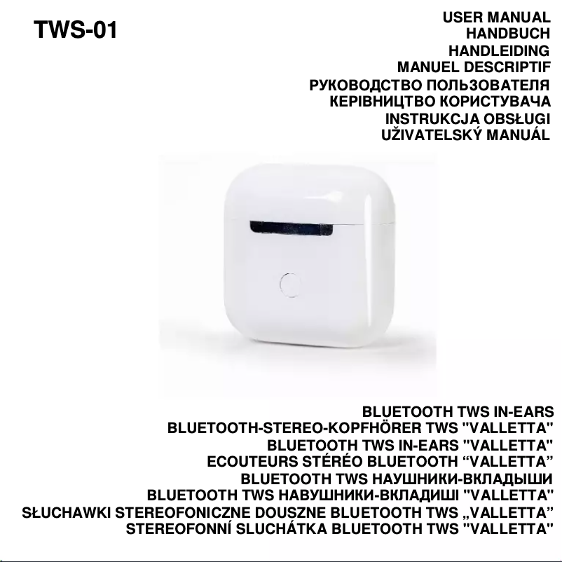 First page image of the manual for Teddy TWS-01