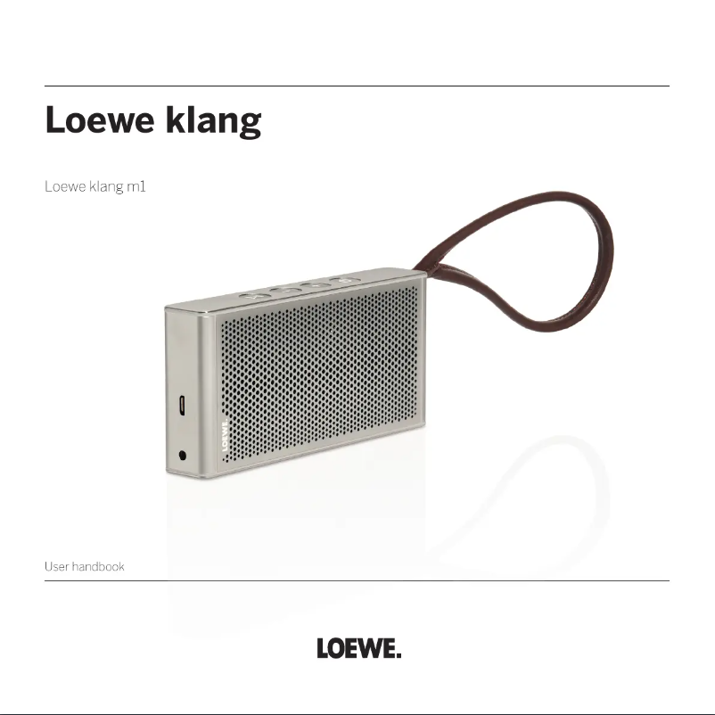 Page 1 de la notice Manuel utilisateur Loewe Klang m1