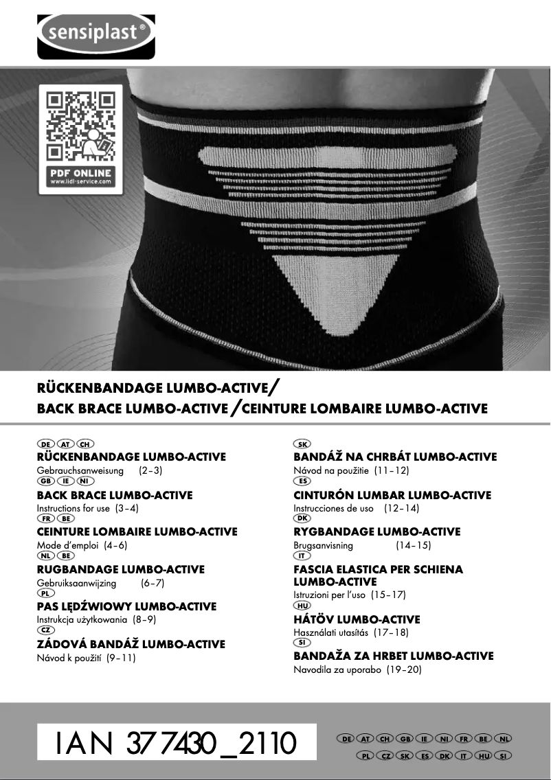 Image de la première page du manuel de l'appareil IAN 377430