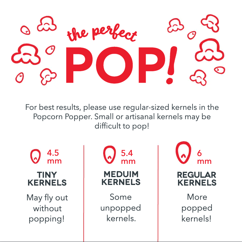 Página 1 del manual Manual de usuario Dash Turbo Pop DAPP155GBRD06