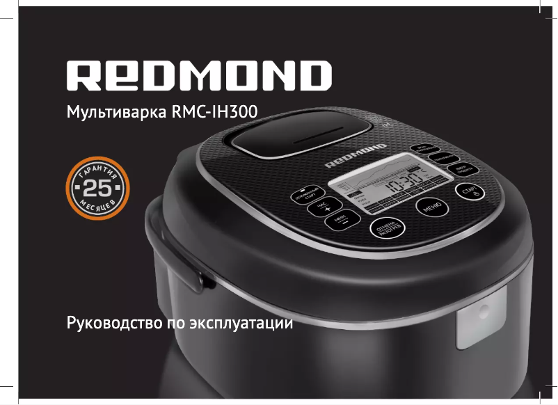 Image de la première page du manuel de l'appareil RMC-IH300