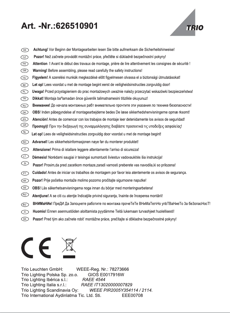Page n°1 - Manuel utilisateur Trio Lighting Gonzalo