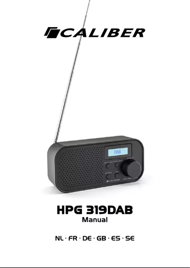Page n°1 - Manuel utilisateur Caliber HPG 319DAB