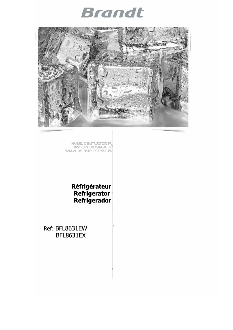 Image de la première page du manuel de l'appareil BFL8631EW