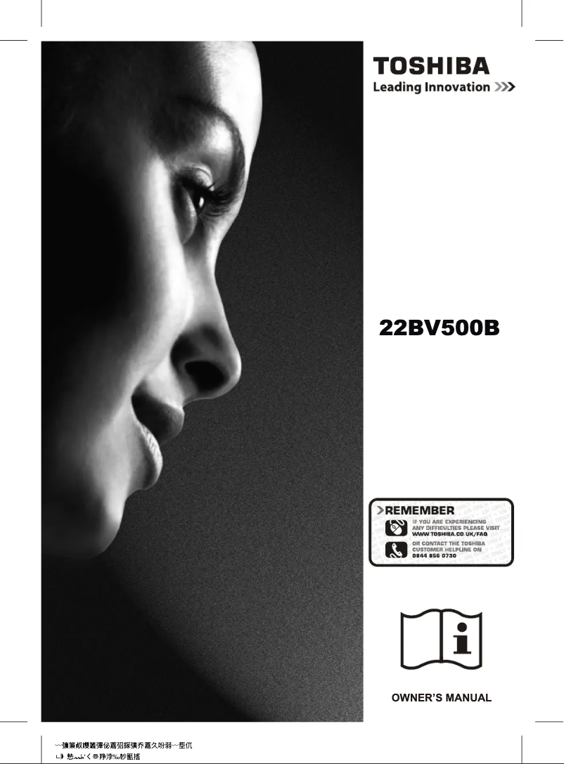 Image de la première page du manuel de l'appareil 22BV500B