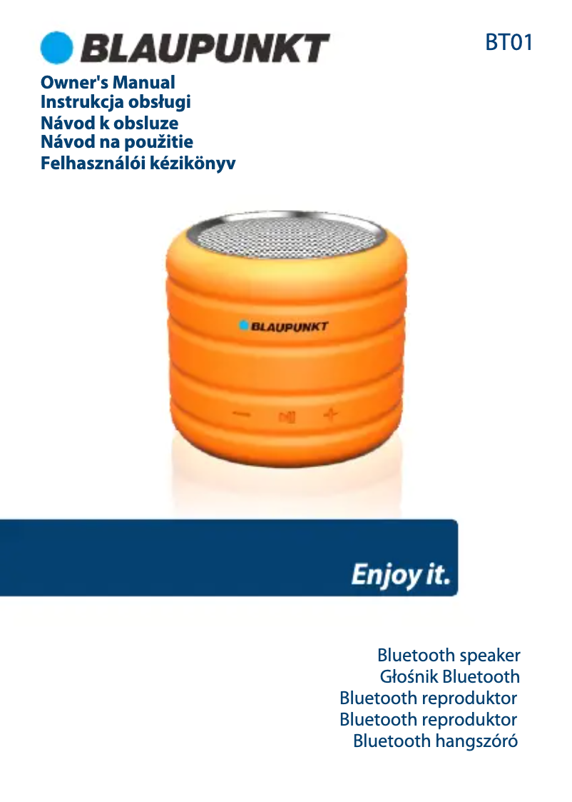 Image de la première page du manuel de l'appareil BT01