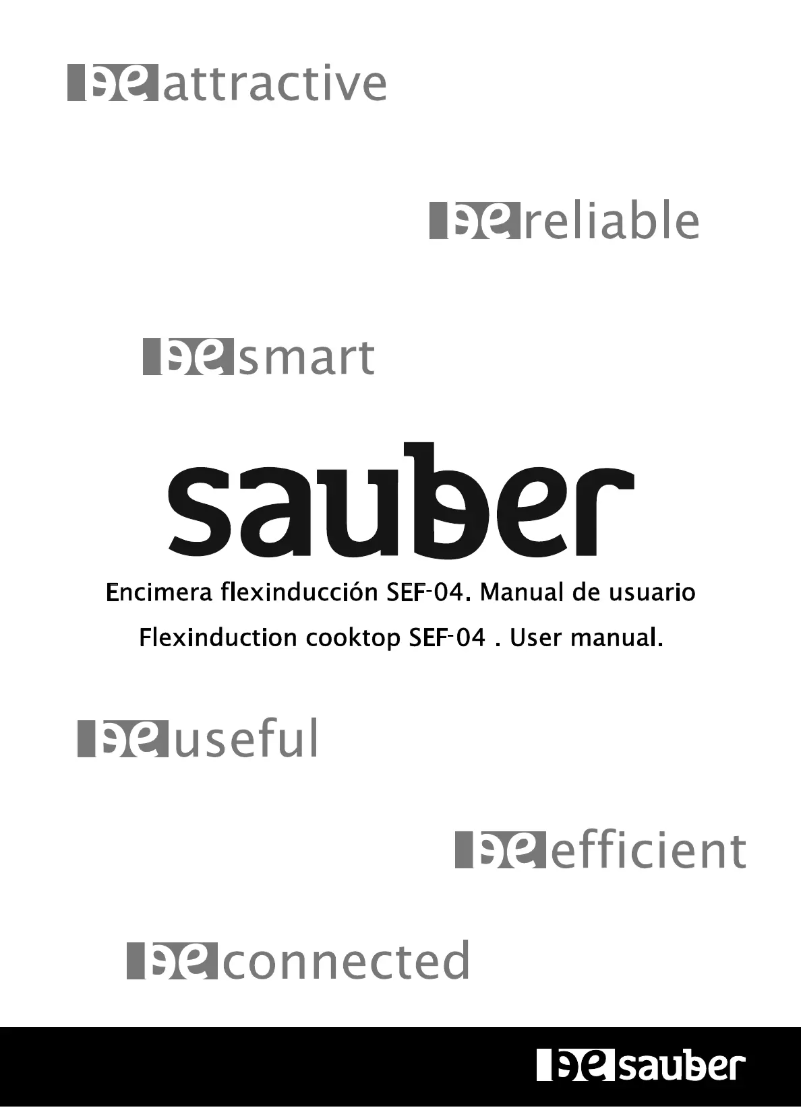 Page 1 de la notice Manuel utilisateur Sauber SEF04