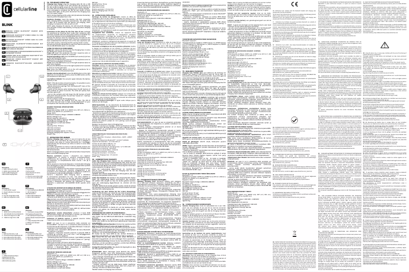 Image de la première page du manuel de l'appareil Blink