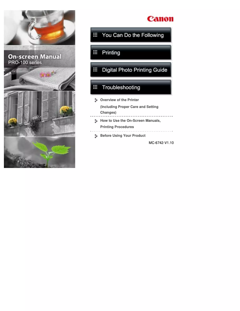 Image de la première page du manuel de l'appareil Pixma Pro 100