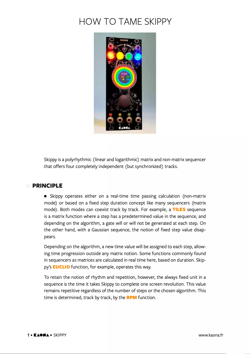 Page 1 of the manual User Manual Kaona Skippy