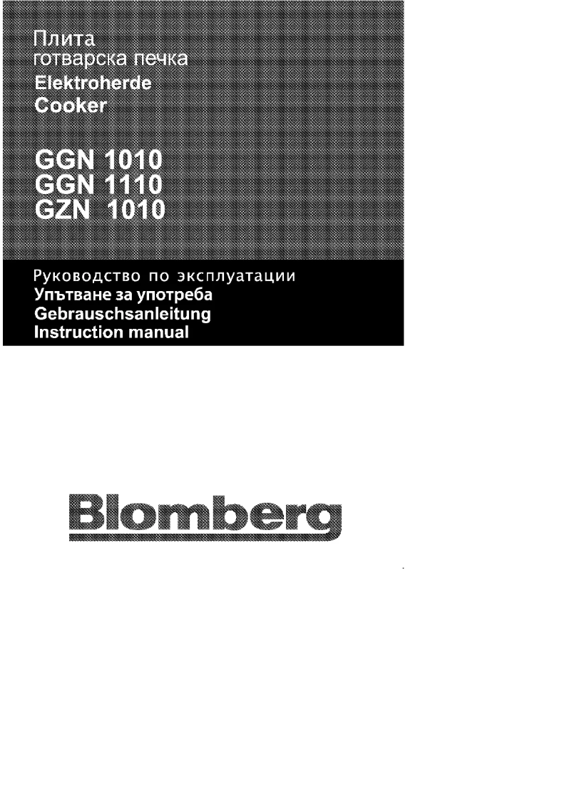 Image de la première page du manuel de l'appareil GZN 1010