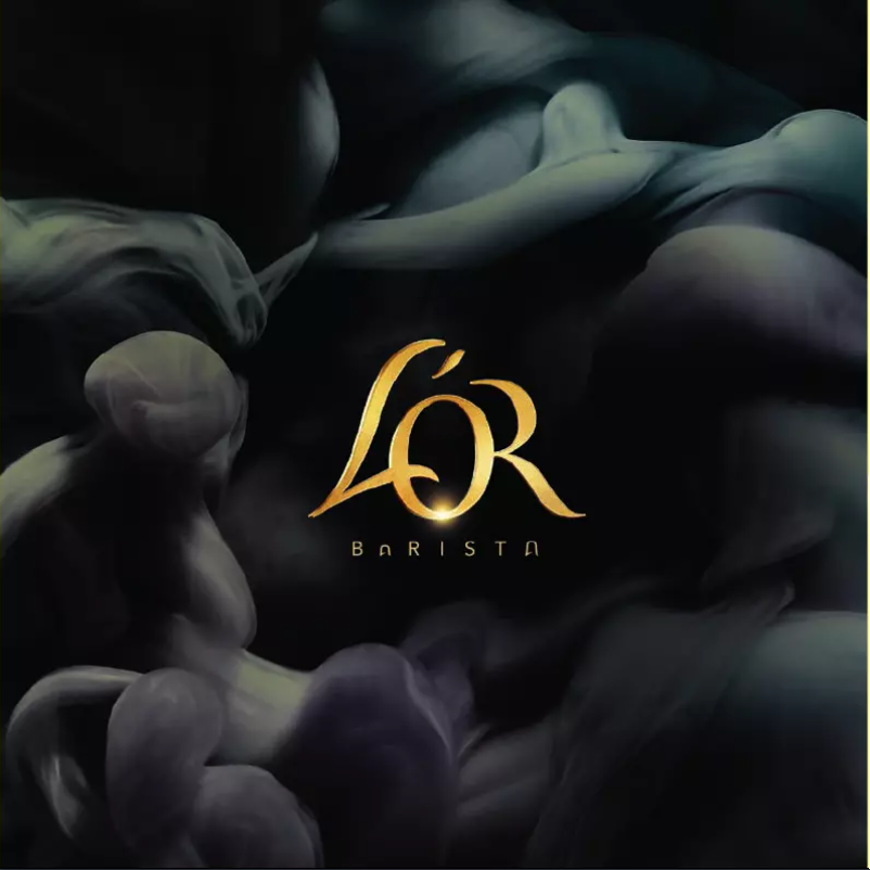 Image de la première page du manuel de l'appareil L'Or Barista LM8018