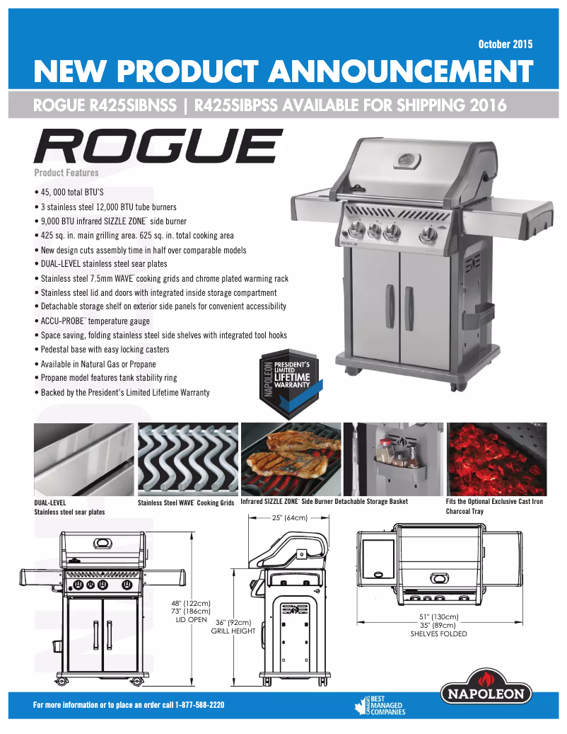 Page 1 de la notice Fiche technique Napoleon ROGUE 425