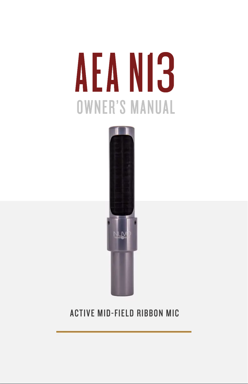 Page n°1 - Manuel utilisateur AEA N13