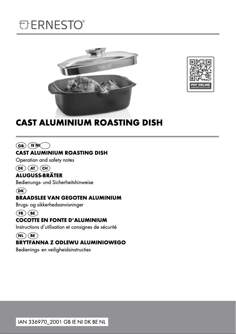 Page n°1 - Manuel utilisateur Ernesto IAN 317045