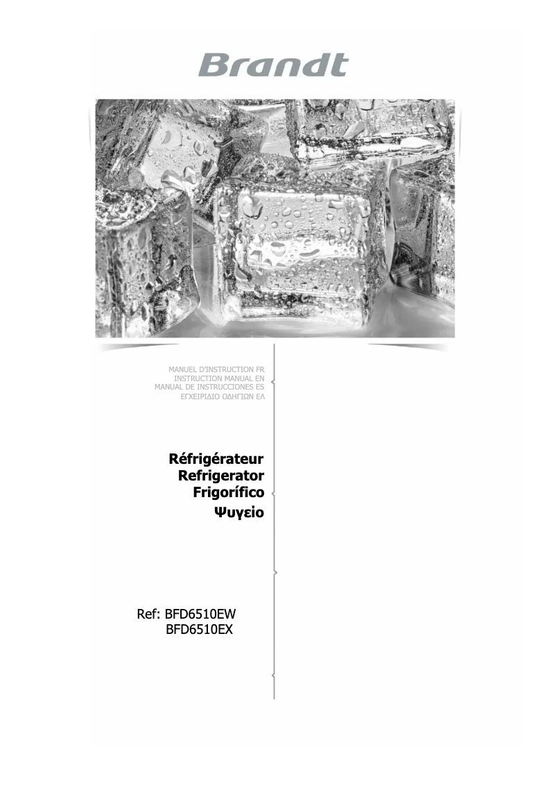 Image de la première page du manuel de l'appareil BFD6510EW