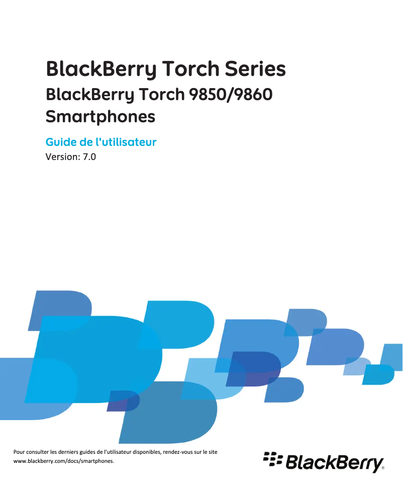 Page 1 of the manual User Manual BlackBerry Torch 9850