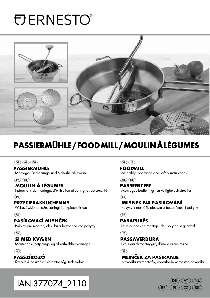 Page 1 de la notice Manuel utilisateur Ernesto HG04873A