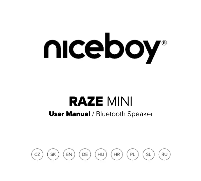Page 1 de la notice Manuel utilisateur Niceboy RAZE mini