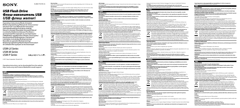 Page 1 de la notice Manuel utilisateur Sony USM-16GP