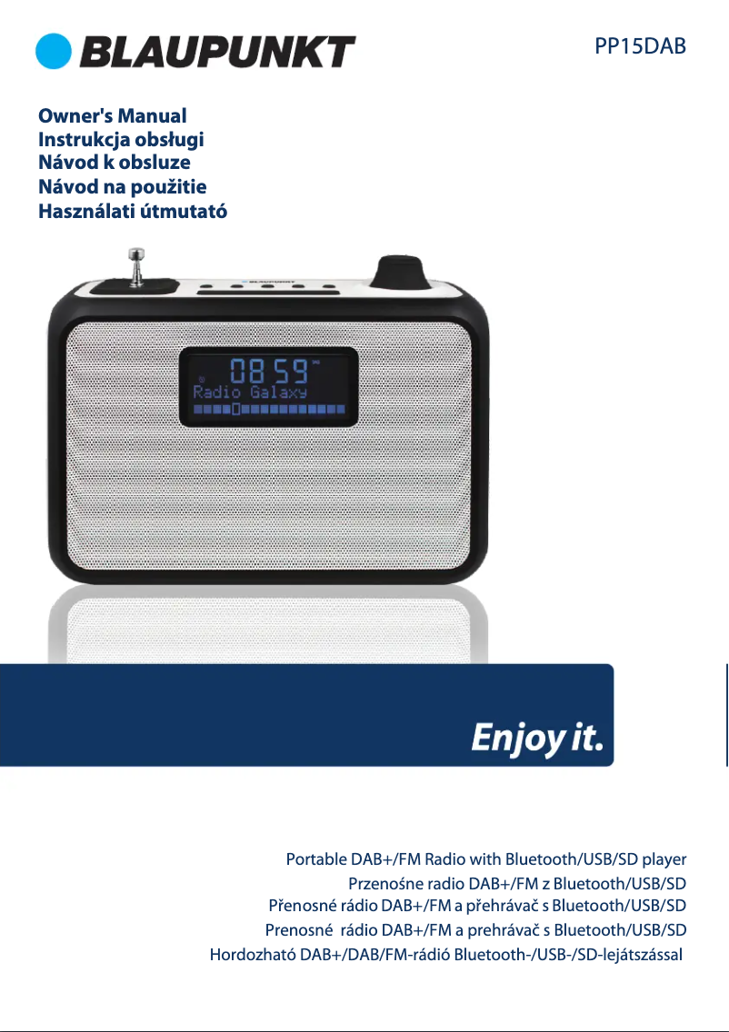 Page n°1 - Manuel utilisateur Blaupunkt PP15DAB