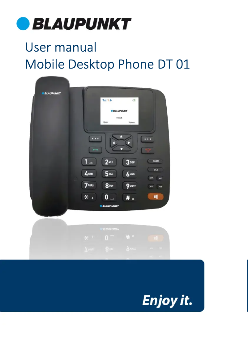 Página 1 del manual Manual de usuario Blaupunkt DT 01