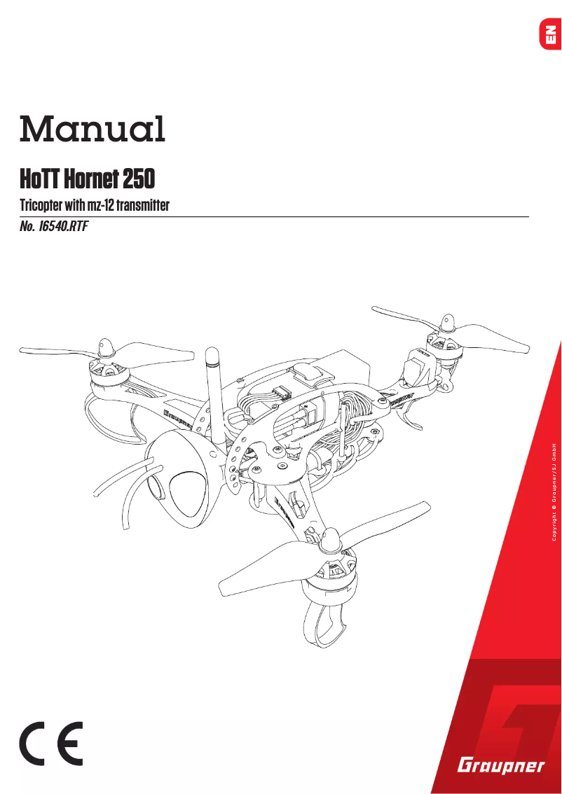 Image de la première page du manuel de l'appareil HoTT Hornet 250