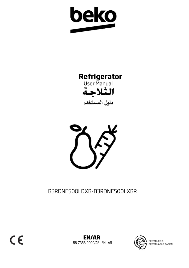 Image de la première page du manuel de l'appareil B3RDNE500LXBR