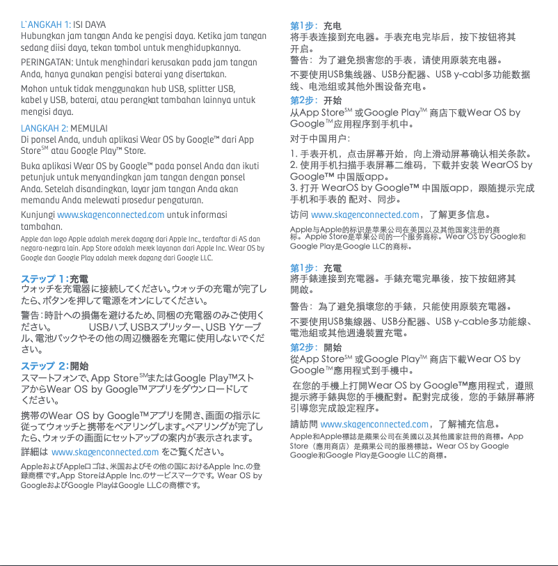 Page 1 de la notice Manuel utilisateur Skagen Falster Gen 4 Connected SKT5103