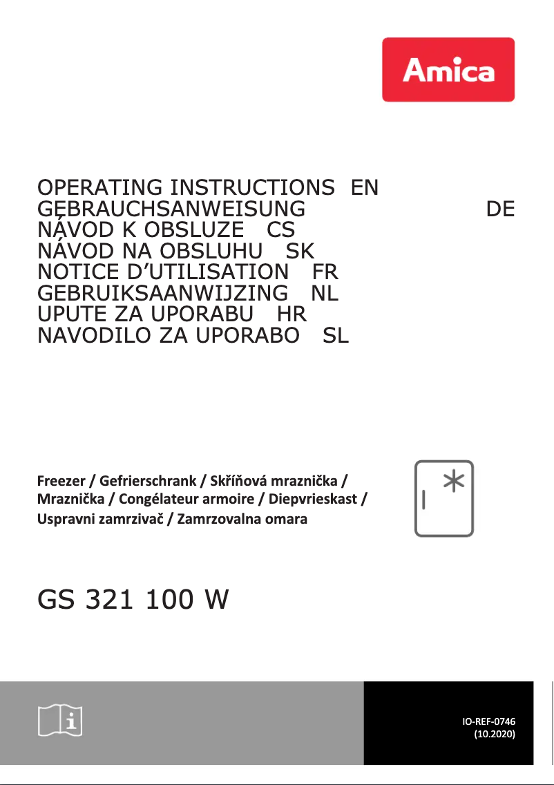 Page 1 de la notice Manuel utilisateur Amica GS 321 100 W