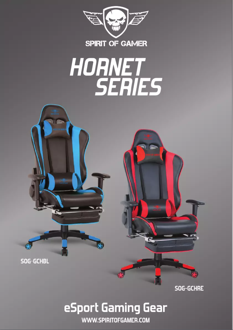 Image de la première page du manuel de l'appareil Hornet