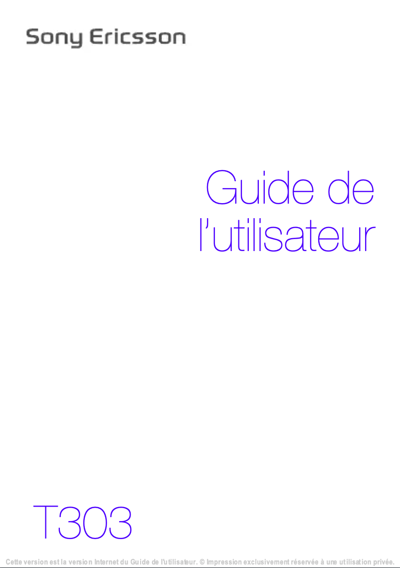 Page n°1 - Manuel utilisateur Sony Ericsson T303
