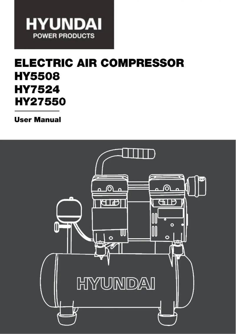 Page n°1 - Manuel utilisateur Hyundai HY7524