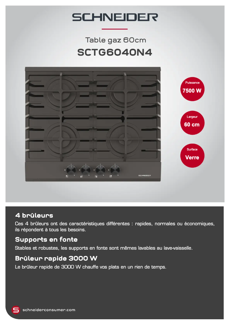Page 1 de la notice Fiche technique Schneider SCTG6040N4