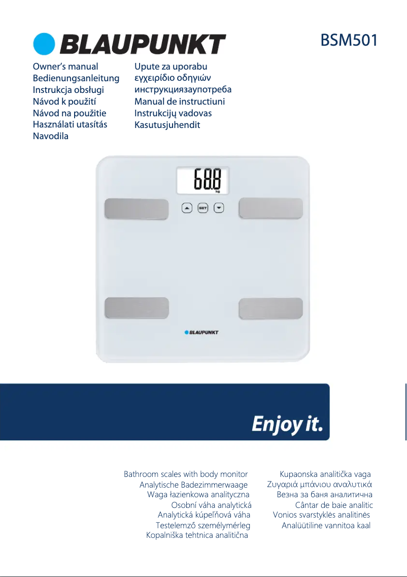 Page 1 de la notice Manuel utilisateur Blaupunkt BSM501