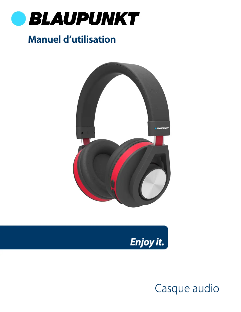 Page n°1 - Manuel utilisateur Blaupunkt BLP4210