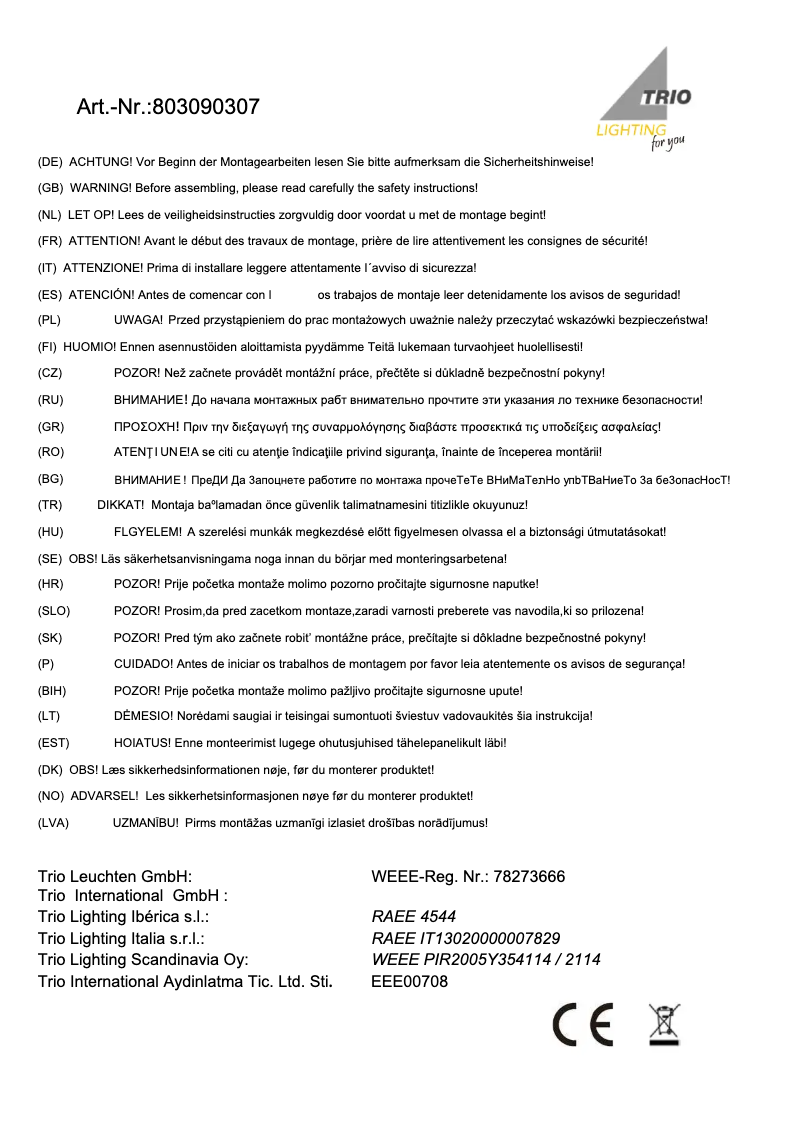 Page 1 de la notice Manuel utilisateur Trio Lighting Michael 803090307
