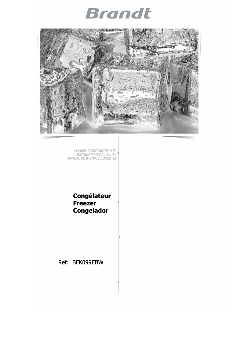 Page n°1 - Manuel utilisateur Brandt BFK099EBW