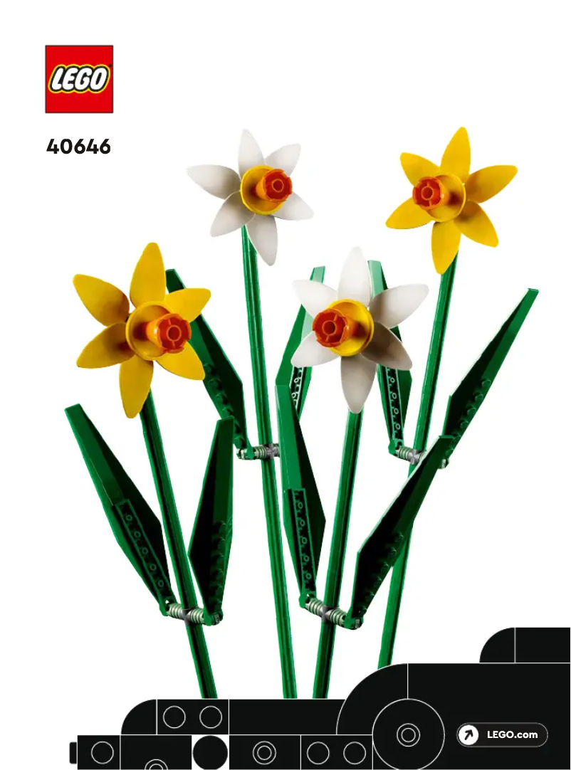 Image de la première page du manuel de l'appareil Daffodils 40646