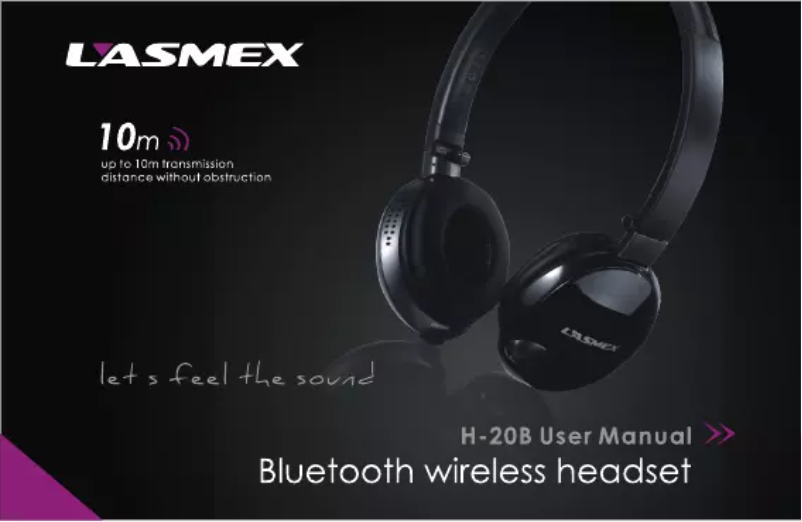 Page 1 de la notice Manuel utilisateur Lasmex H-20B