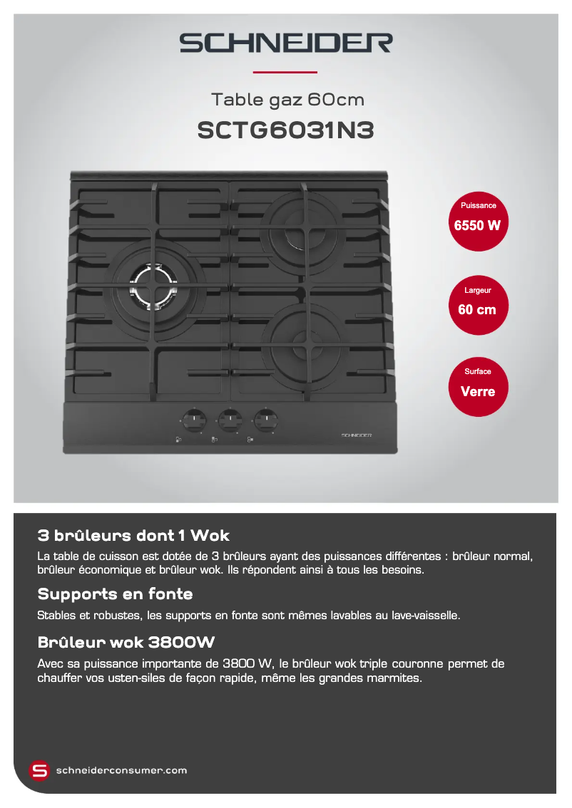Page 1 de la notice Fiche technique Schneider SCTG6031N3