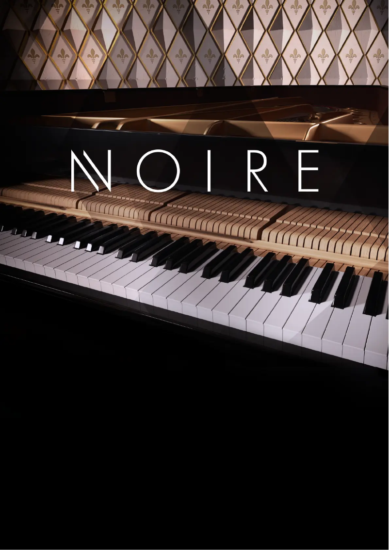 Image de la première page du manuel de l'appareil Noire