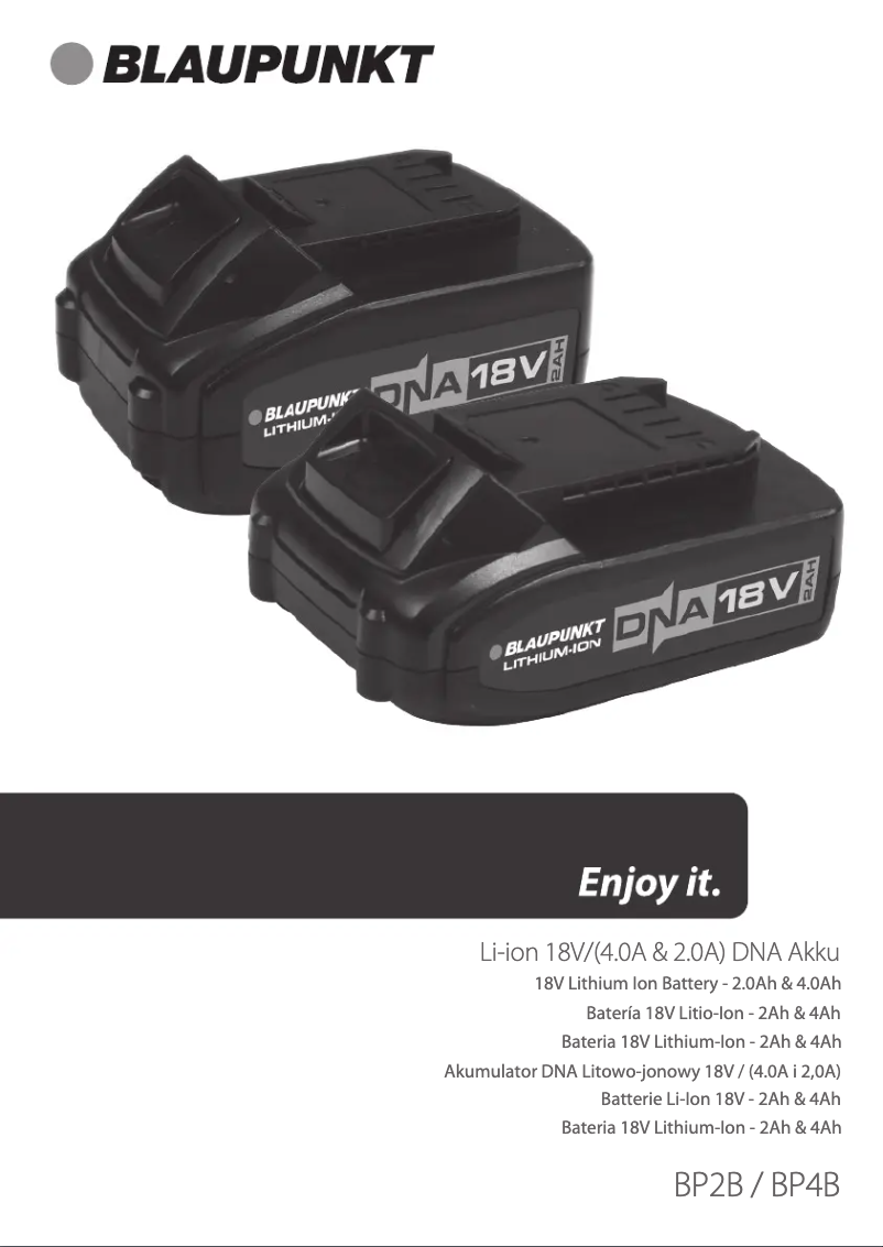 Page n°1 - Manuel utilisateur Blaupunkt BP2B