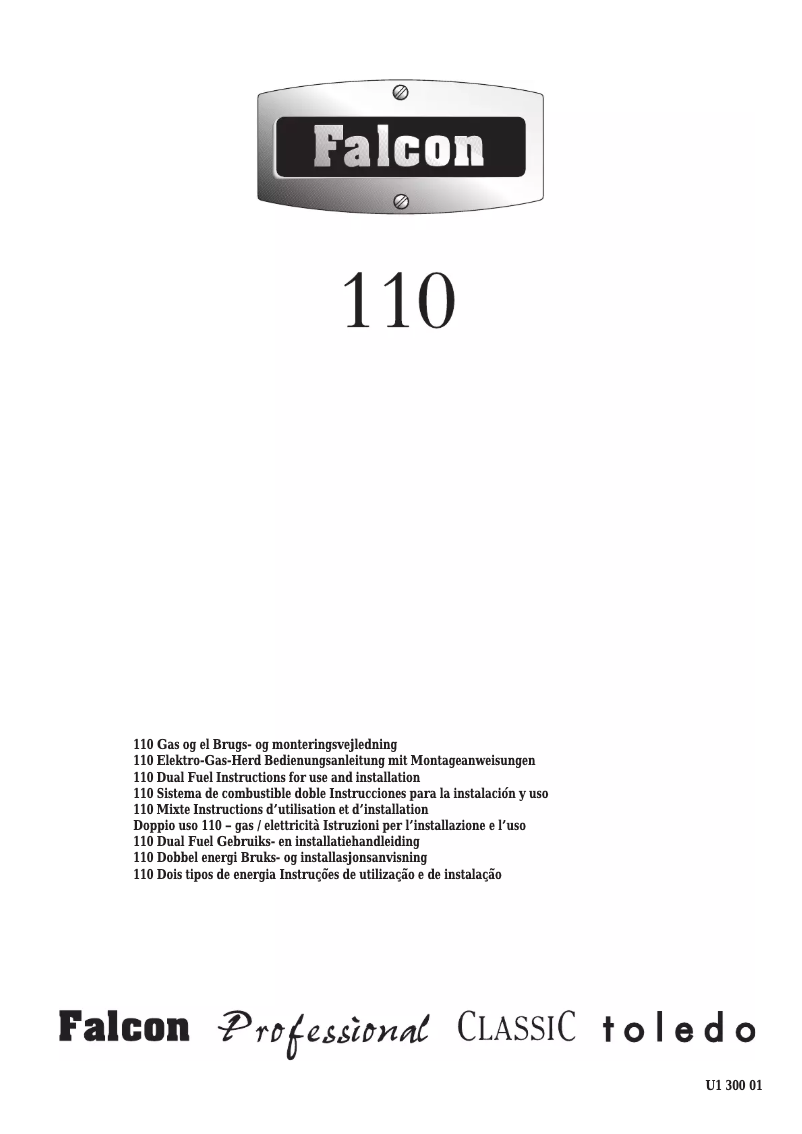 Page n°1 - Manuel utilisateur Falcon Professional plus 110